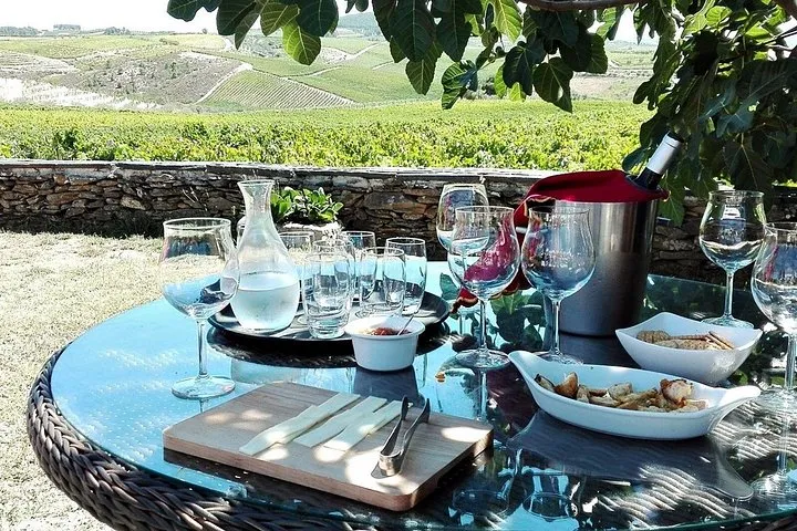 Terraced vineyards and winding road on a private customizable Douro Valley tour from Porto, Portugal