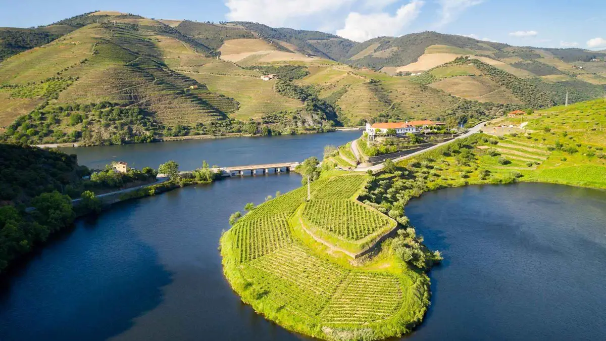 Scenic Douro River viewpoint from a private car on a private Douro Valley wine tour from Porto, Portugal