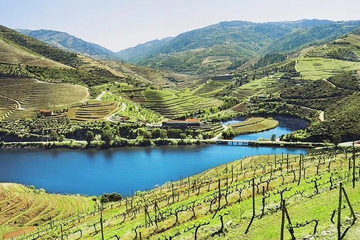 Douro River bend and vineyards on a small group Douro Valley wine tour from Porto with two wineries and lunch, Portugal