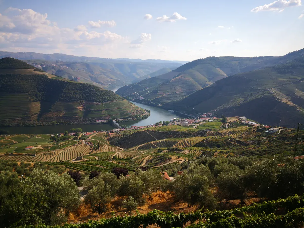 The Douro bend and terraced vineyards seen from the Casal de Loivos viewpoint above Pinhão, a day trip from Porto