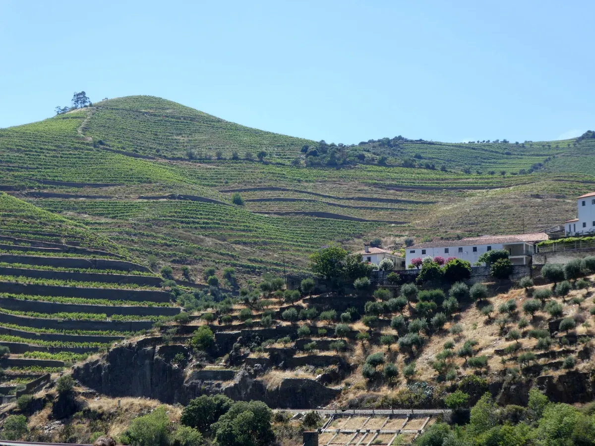 Vineyard terraces and a quinta building on a small group Douro Valley wine tour from Porto