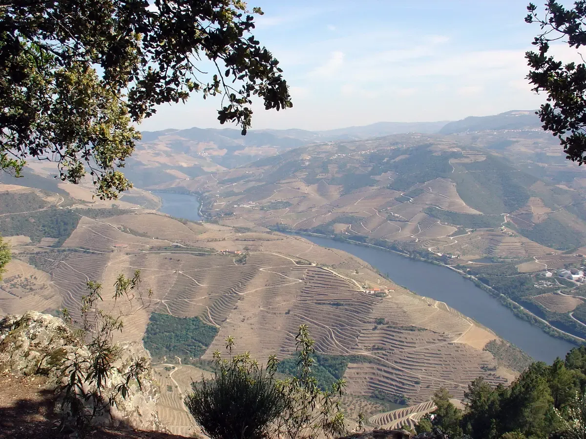 Douro river bend below the Galafura viewpoint on a private driver Douro Valley wine tour from Porto