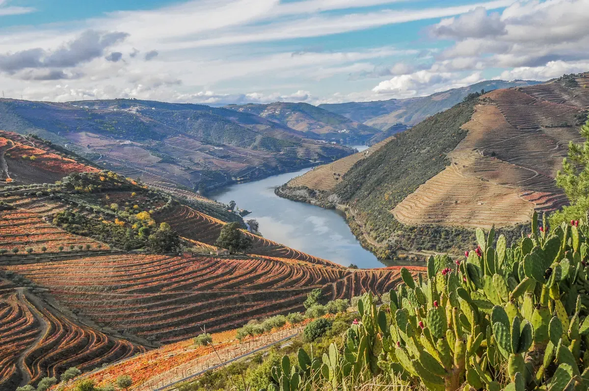 Red and orange vine terraces above a bend of the Douro, seen on a Douro Valley wine tour from Porto